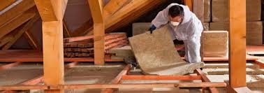 Best Eco-Friendly or Green Insulation Solutions  in Fruitland, IA